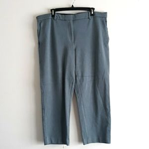 Ann Taylor  Flat Front Curvy Fit Trousers #0812